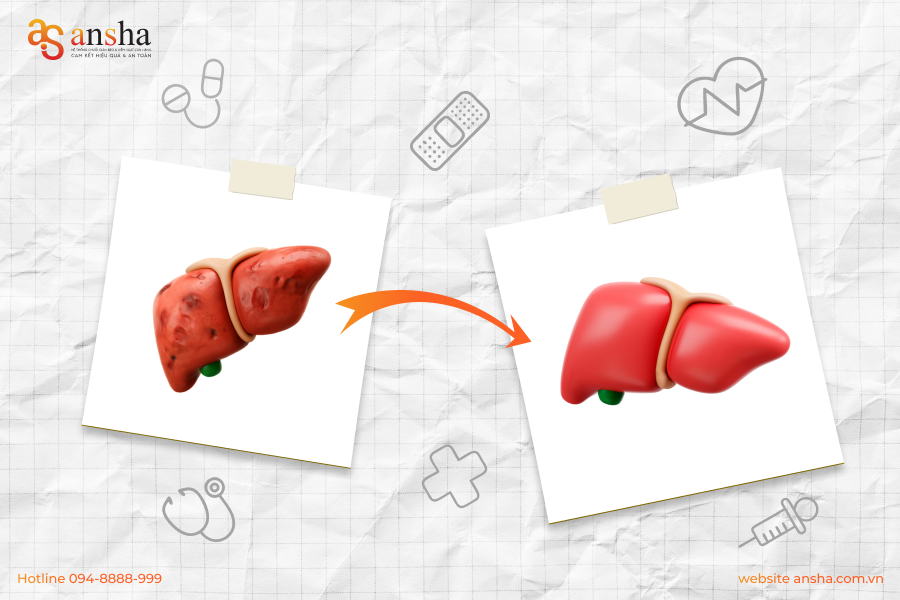 Gan có tự tái tạo không? Những điều bạn cần biết về sức khỏe gan!