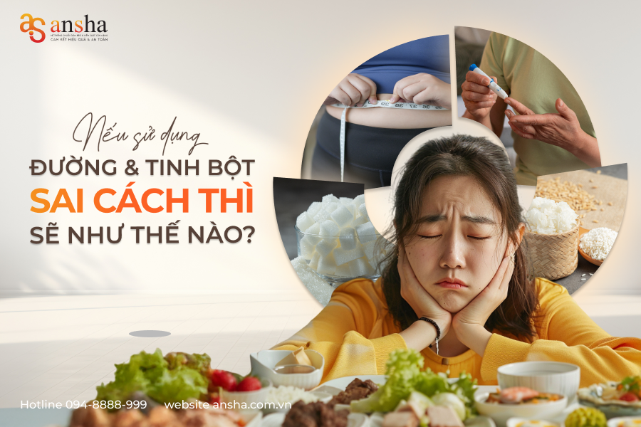 Hiểu Đúng Về Chuyển Hóa Đường: Vì Sao Ăn Nhiều Đường Và Tinh Bột Có Thể Gây Bệnh?