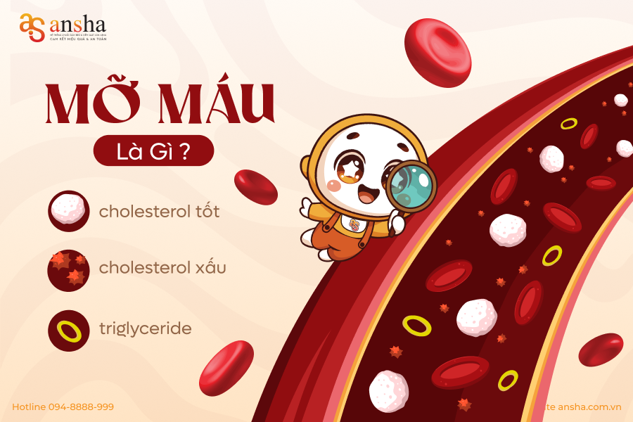 Mỡ Máu Là Gì? Hiểu Đúng Để Kiểm Soát Sức Khỏe Từ Bên Trong