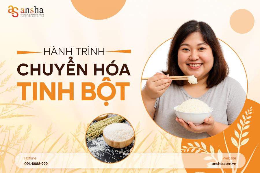 Lời cảnh tỉnh từ cơ thể: Bạn đang bắt gan "làm thêm giờ" mỗi khi ăn quá nhiều tinh bột