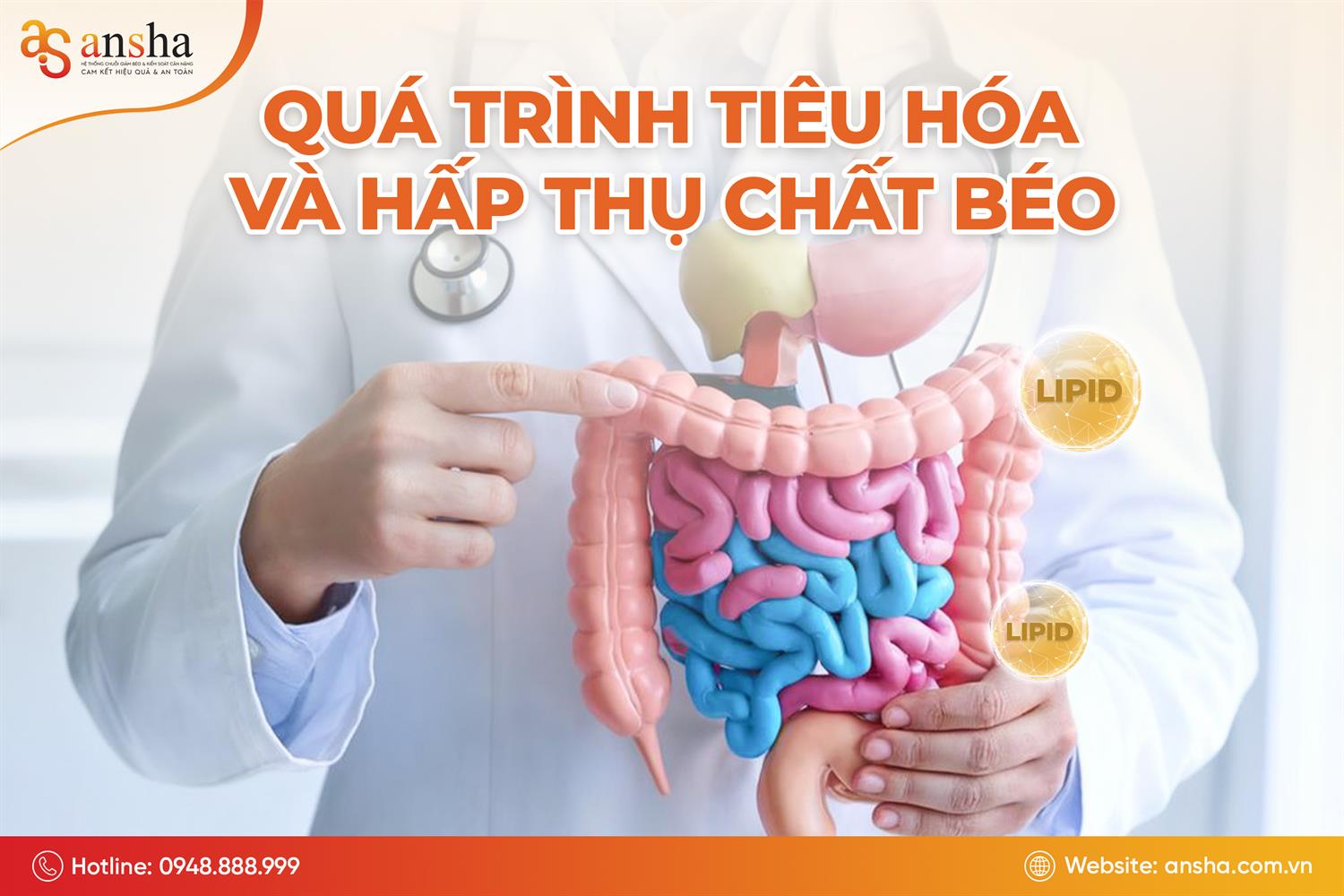 Giảm cân – Hiểu đúng về cơ chế mỡ thừa để bảo vệ sức khỏe