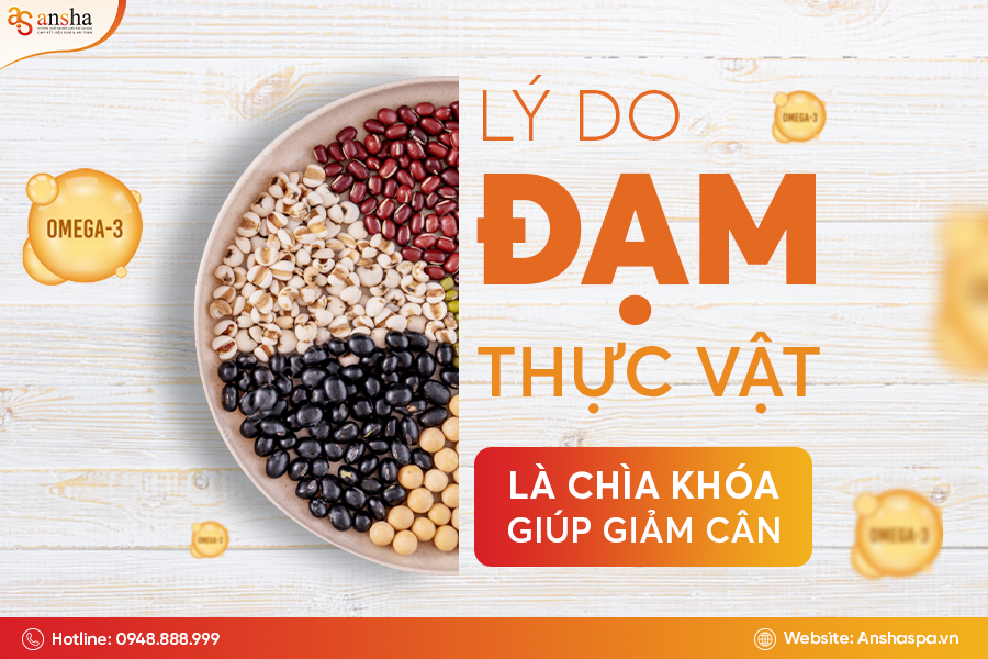 Lý do protein thực vật là chìa khóa giúp giảm cân bền vững