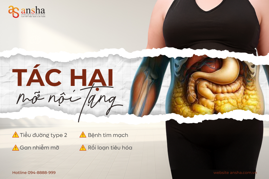 tác hại của mỡ nội tạng