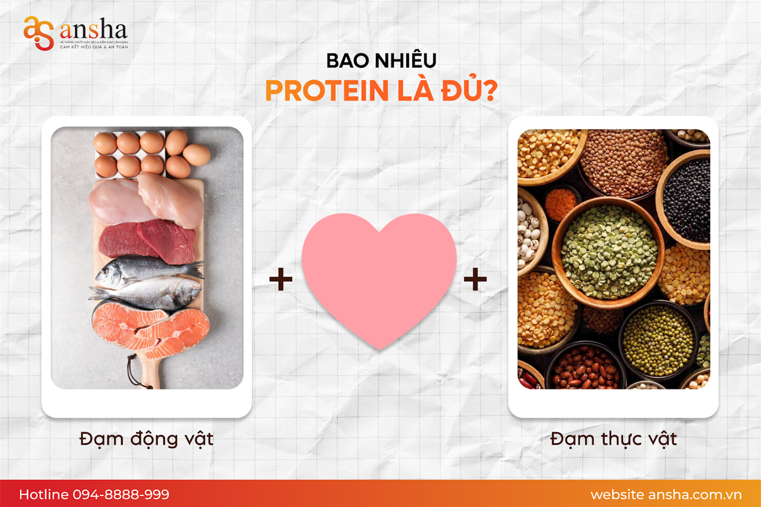 bao-nhieu-protein-la-du